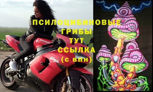 mdpv Верея